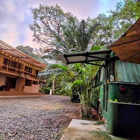 Cool Waters Jungle Villas Увіта Екстер'єр фото