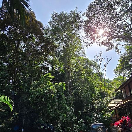 Cool Waters Jungle Villas Увіта Екстер'єр фото