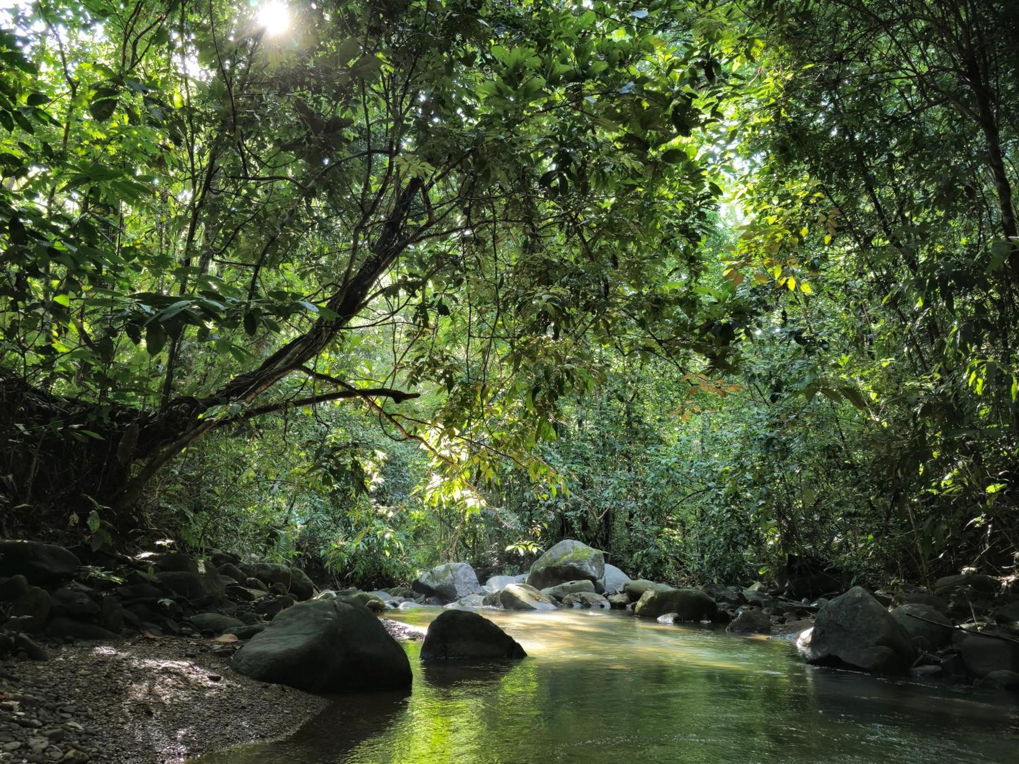 Cool Waters Jungle Villas Увіта Екстер'єр фото
