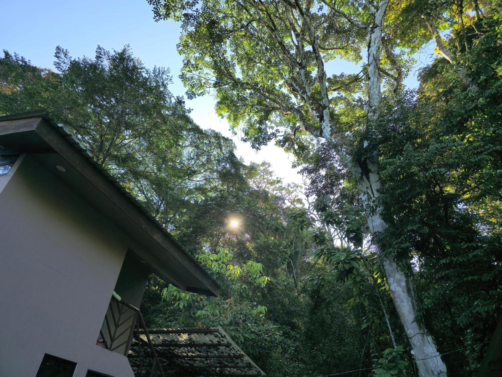 Cool Waters Jungle Villas Увіта Екстер'єр фото