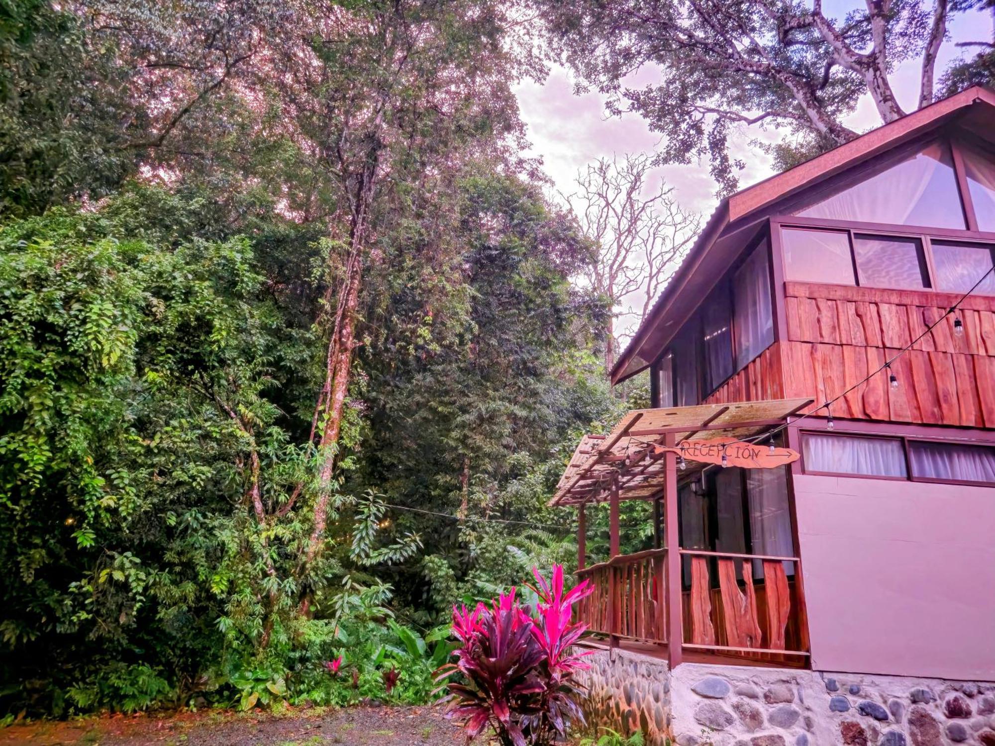 Cool Waters Jungle Villas Увіта Екстер'єр фото