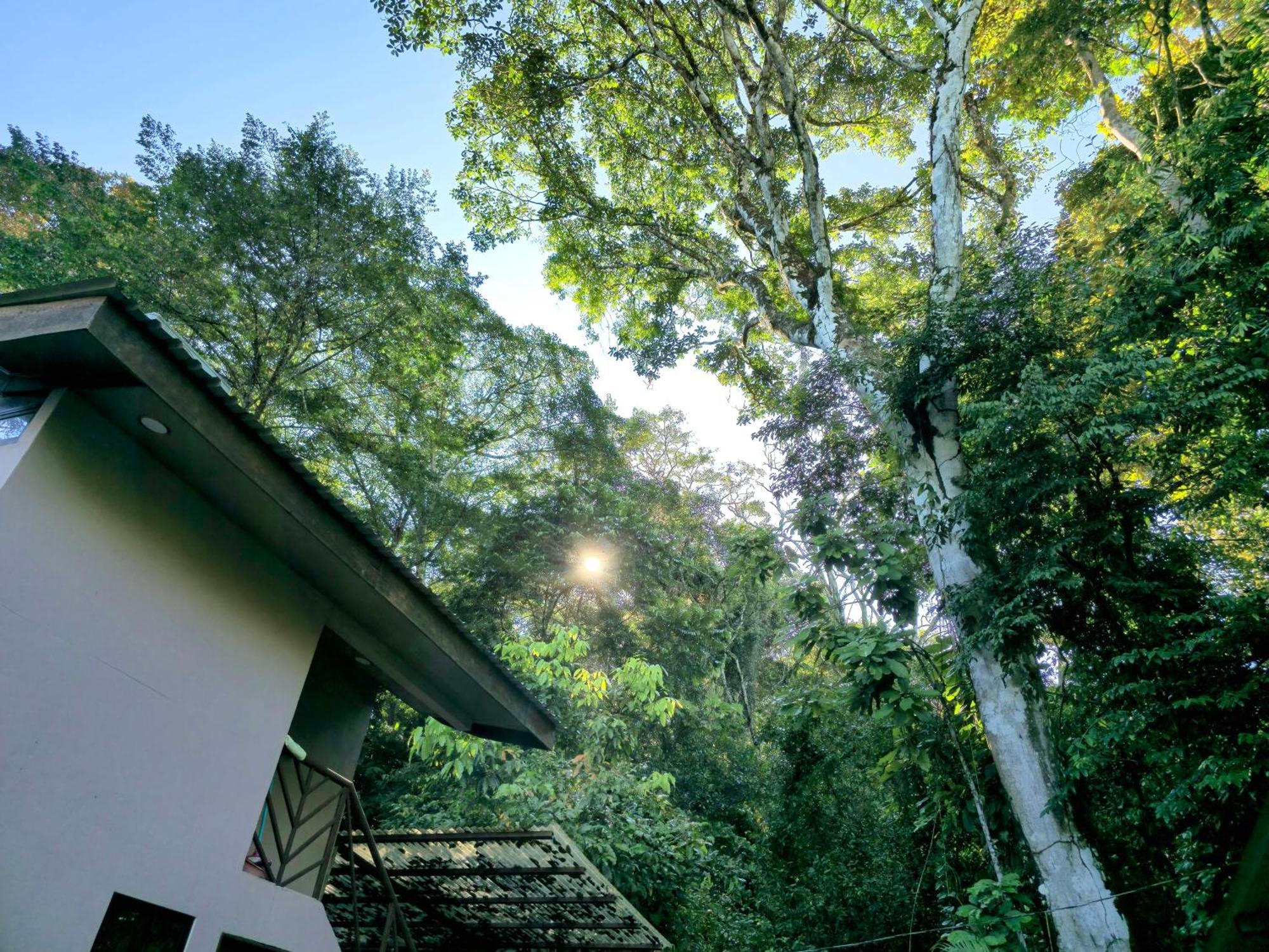 Cool Waters Jungle Villas Увіта Екстер'єр фото