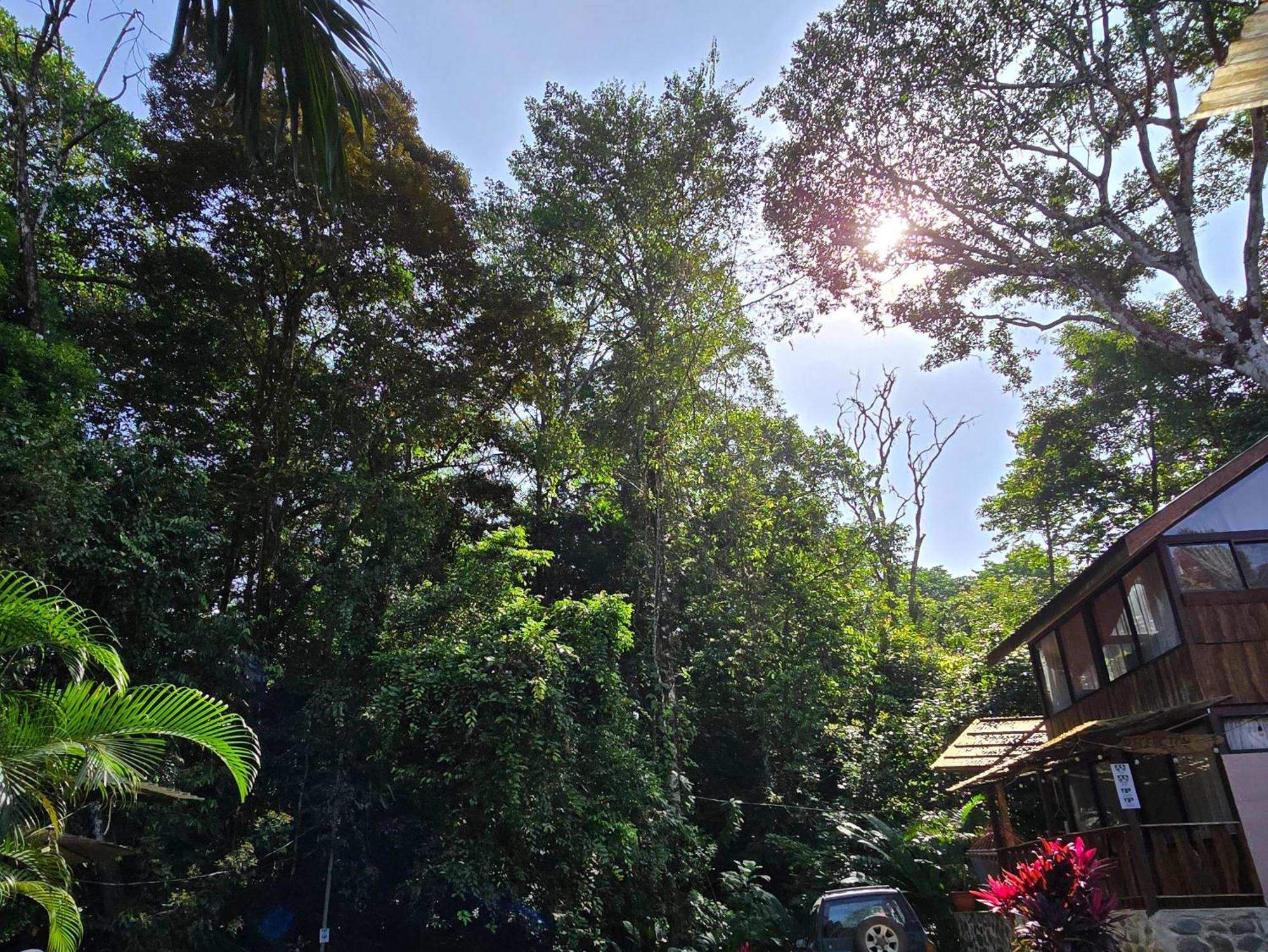 Cool Waters Jungle Villas Увіта Екстер'єр фото