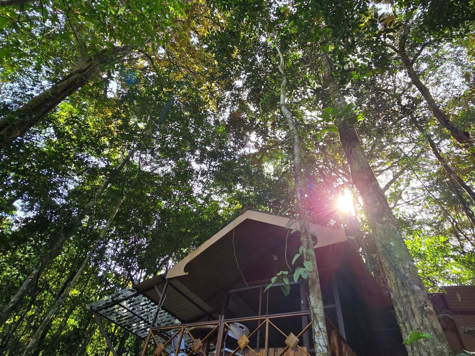 Cool Waters Jungle Villas Увіта Екстер'єр фото