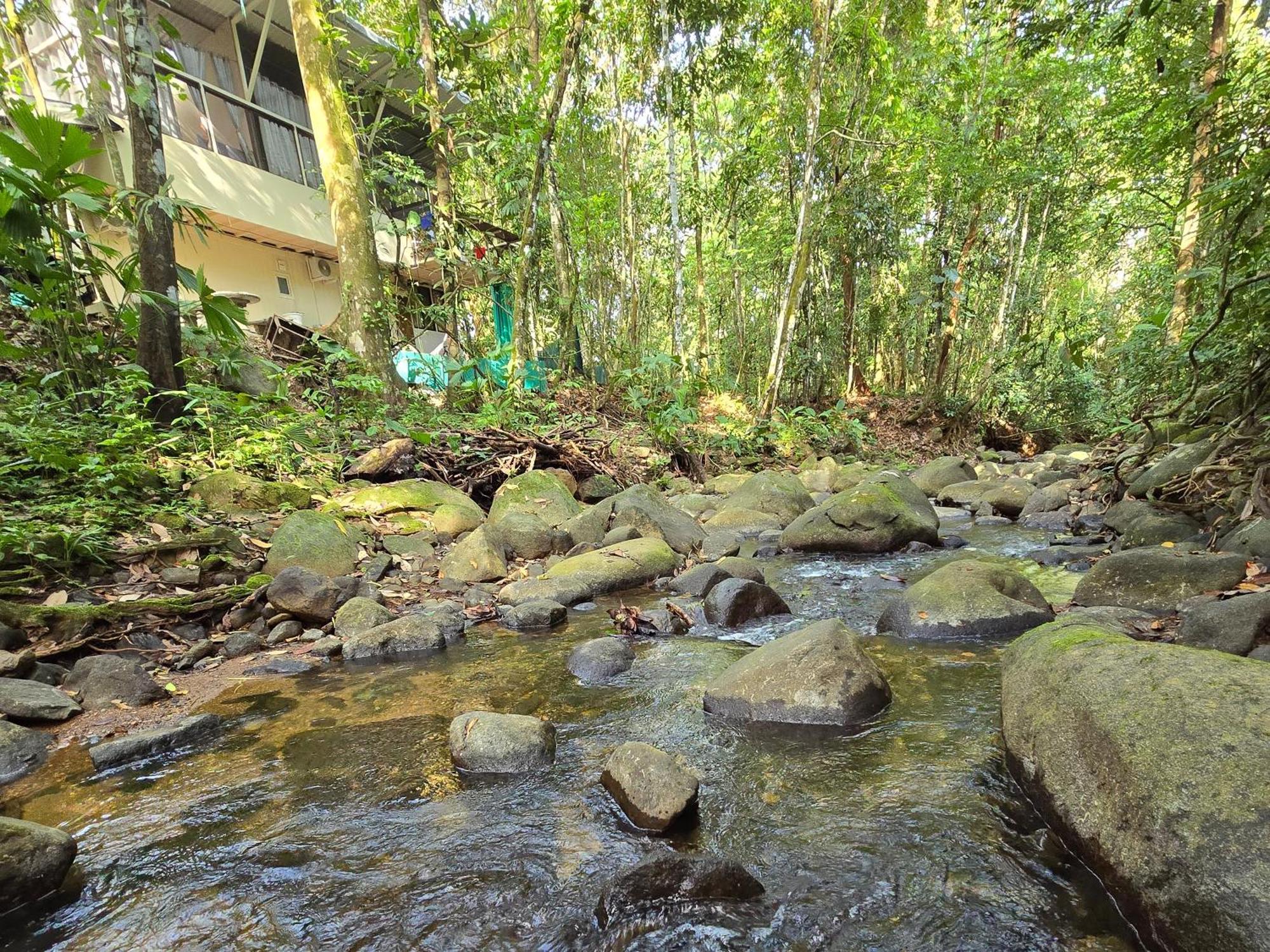 Cool Waters Jungle Villas Увіта Екстер'єр фото
